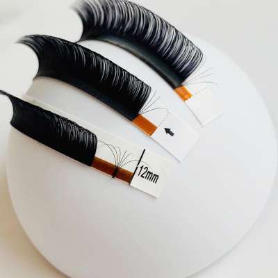 Graceful Unique lashes 0.03 0.05 0.07mm private label lash easy fan mega volume lashes